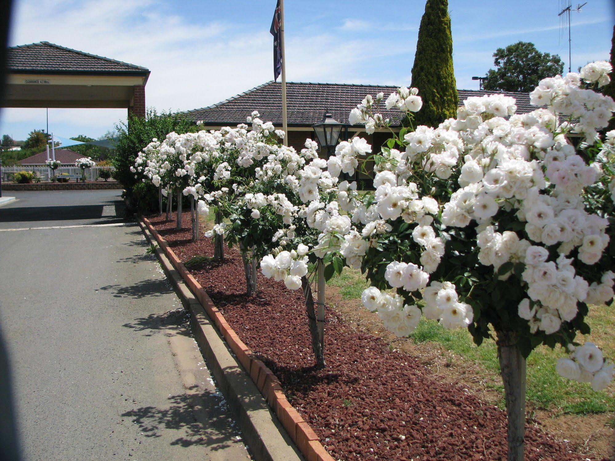 Bushman'S Motor Inn Parkes Εξωτερικό φωτογραφία